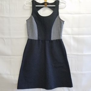 The Limited Polka Dot Skater Dress 6 Aline 0022A03